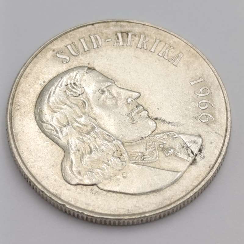 1966  South Africa pregnant springbok - no penis