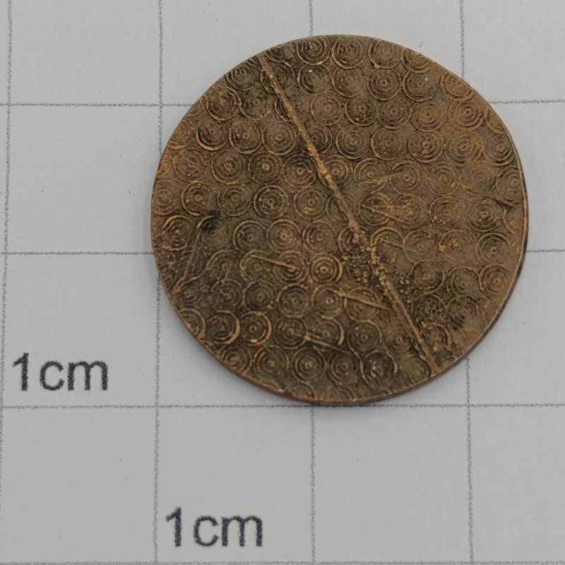 1996 Springbok 600 medallion