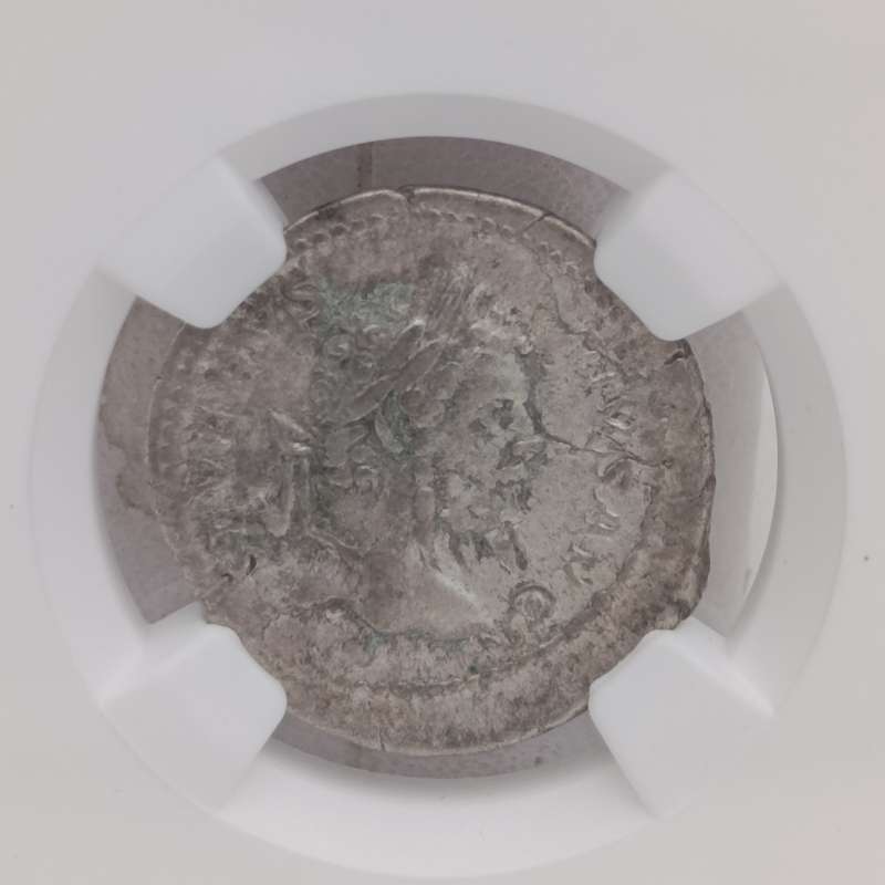 Roman Empire Septimius  Severus AD 193-211 AR Denarius graded VF by NGC Ancients