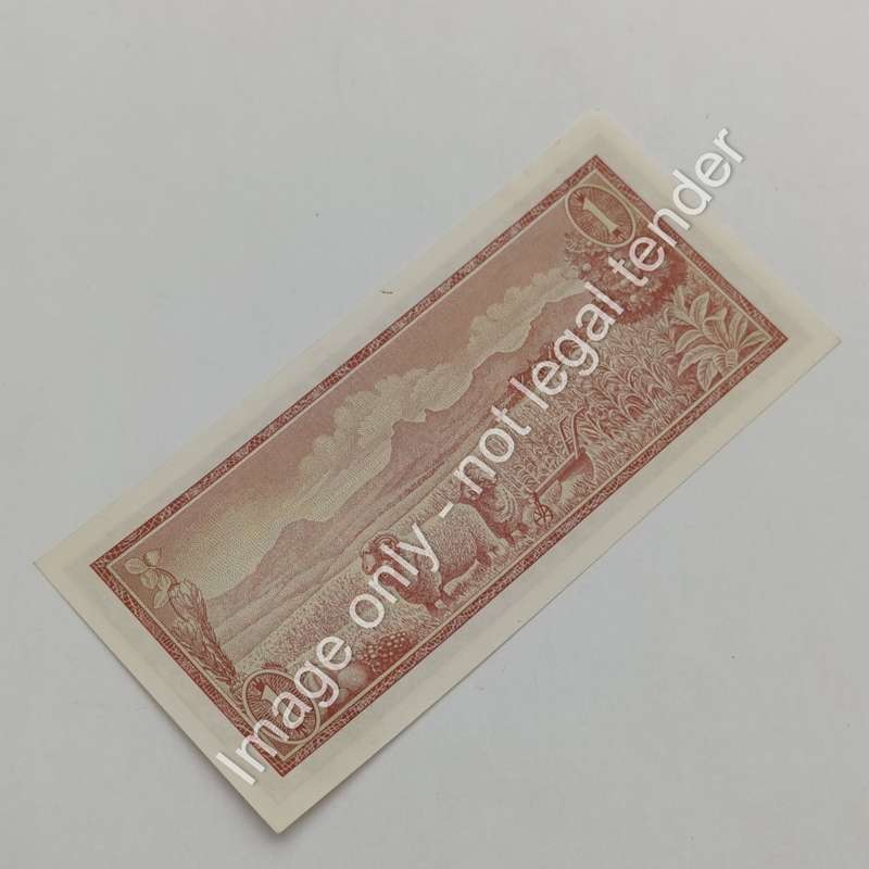 Lot of 9 TW de Jongh 1975 3rd issue R1 notes uncirculated with consecutive numbers