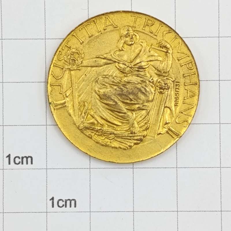 WW1 Allied patriotic medal - France / UK / Russia / Serbia / Japan / Italy