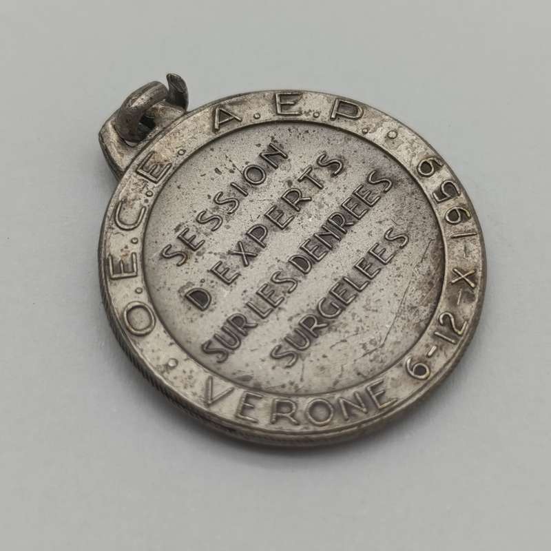 Frozen food convention medallion 1959 Verona