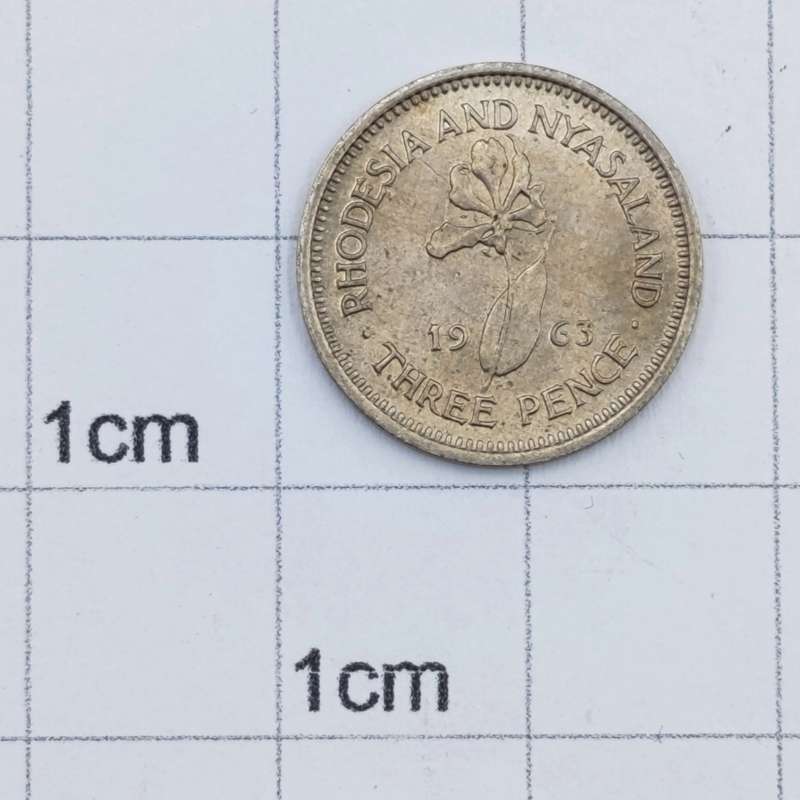 Rhodesia and Nyasaland 1963 uncirculated 3d Tickey