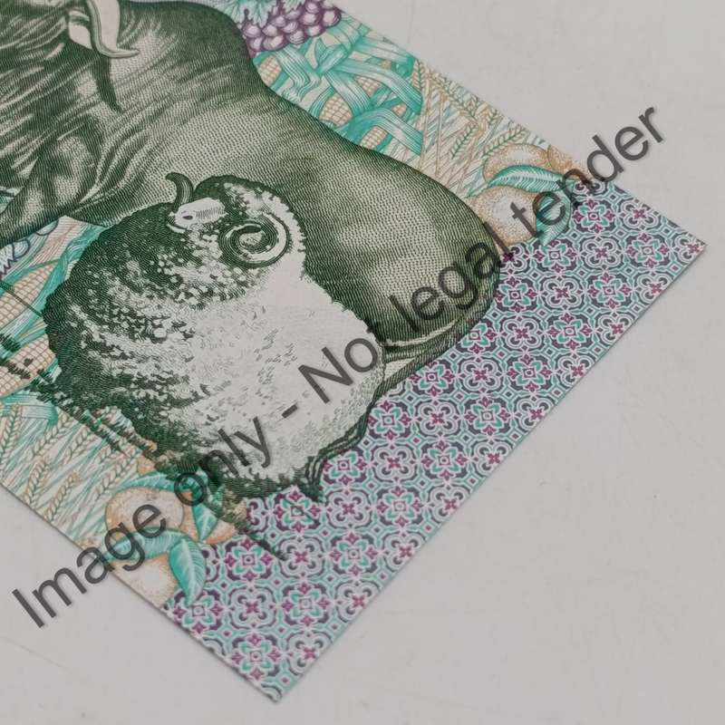 Pair of 1985 GPC de Kock R10 notes uncirculated in sequence