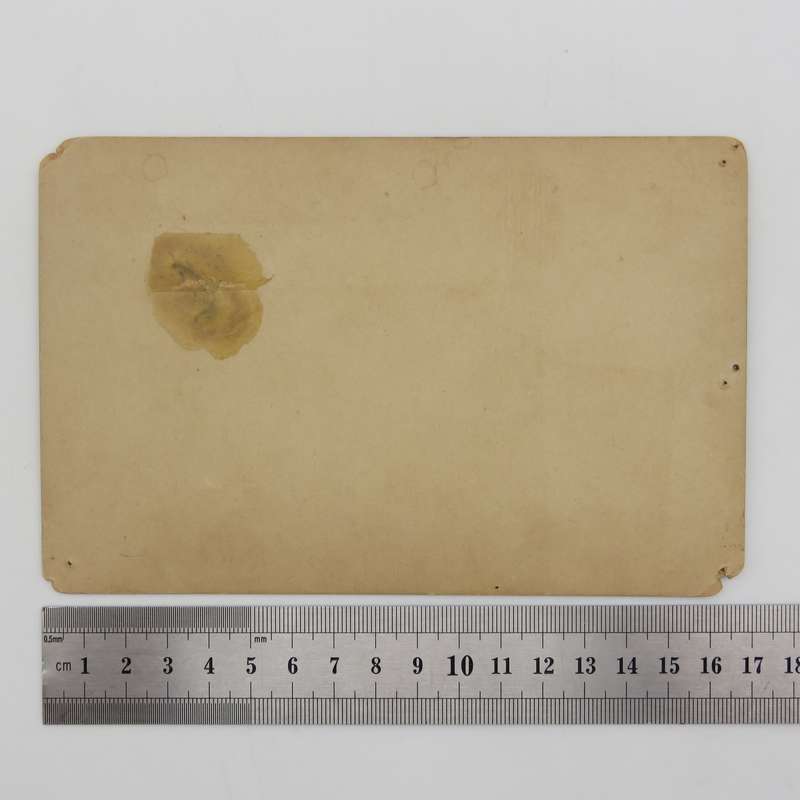 French Collection Universelle early 1900`s nude photo card