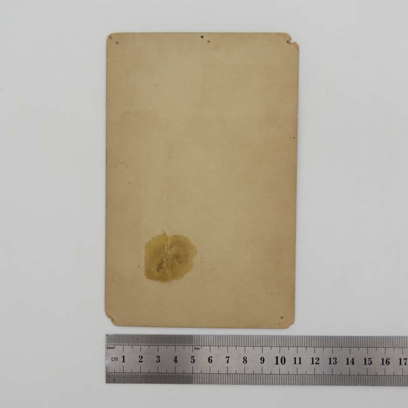 French Collection Universelle early 1900`s nude photo card