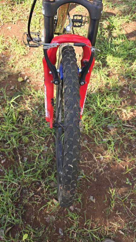 Merida Matts 20-V (L)