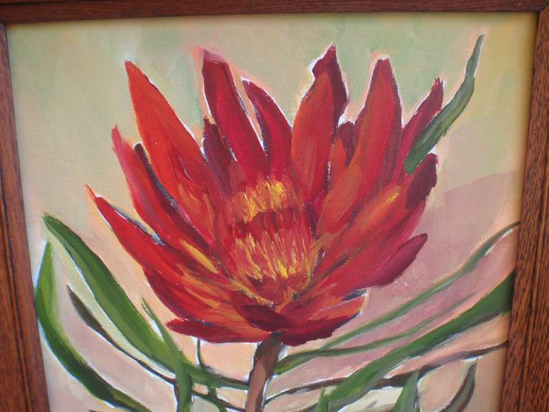 Original Arlene McDade. Deep red protea framed in vintage oak frame. Well known S.African artist.