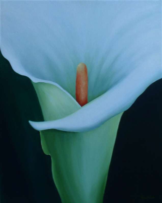 Stunning original Arlene McDade Arum Interior. Well known KZN artist.