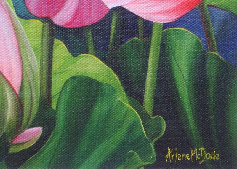 Limited edition giclee print on canvas signed by the artist Arlene McDade. Lotus pond