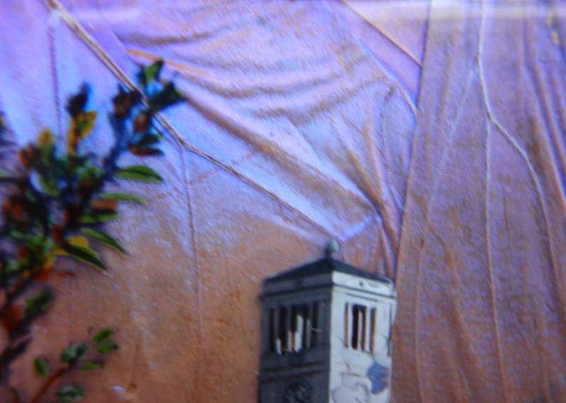 Miniature painting of Brakpan Town Hall on butterfly wings, unique piece made in UK