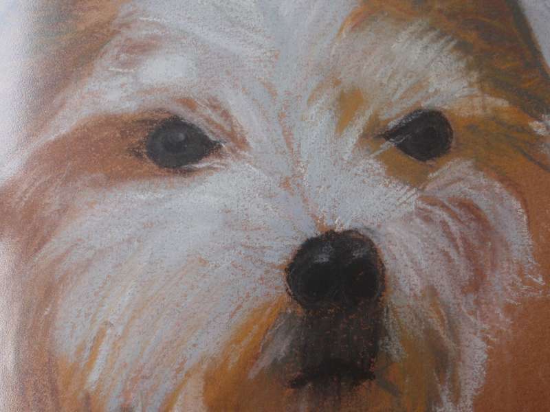 Cute little doggy pawtrait signed Don King. Character painting.
