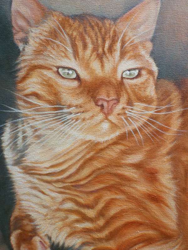 Brilliant original oil on canvas by well known wildlife artist Wendy Beresford.  Well executed.