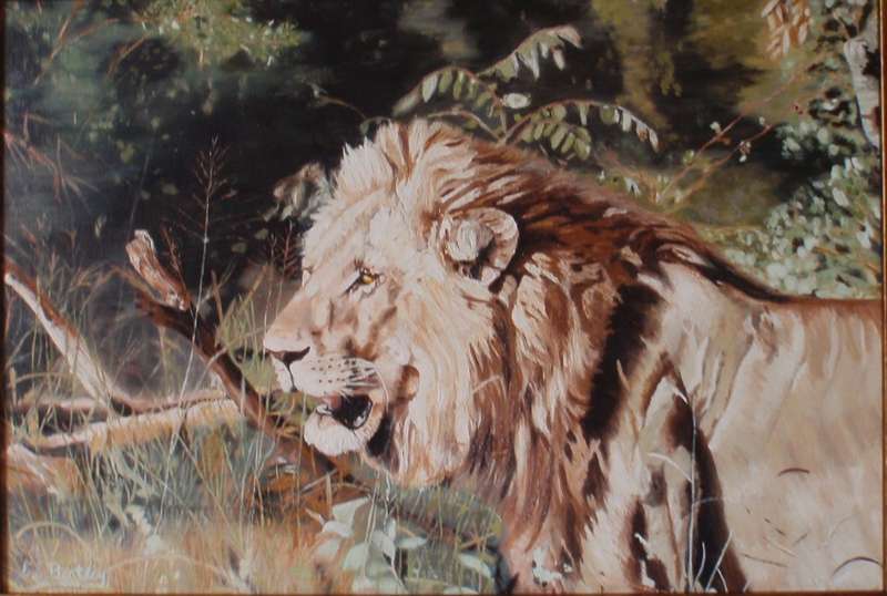 Majestic Lion- original painting, beautifully framed-fabulous statement piece of Big Five
