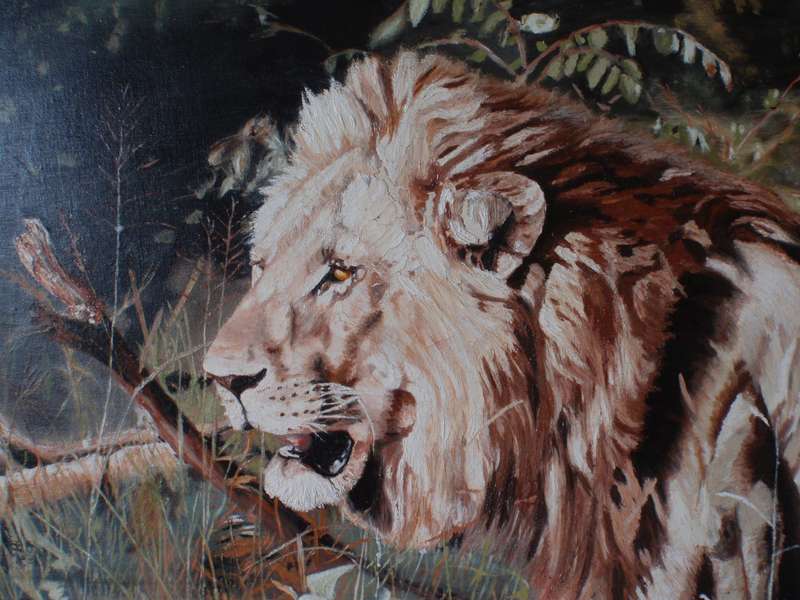 Majestic Lion- original painting, beautifully framed-fabulous statement piece of Big Five