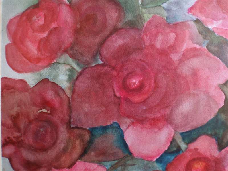 Gorgeous original watercolour by H.O'Brien.  Beautiful, delicate peony flowers.