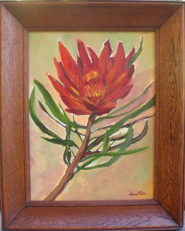 Original Arlene McDade. Deep red protea framed in vintage oak frame. Well known S.African artist.