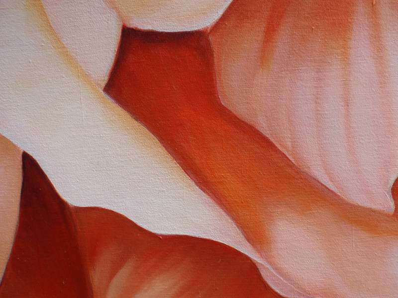 Original painting Arlene McDade. Soft Petals. Well below gallery price.