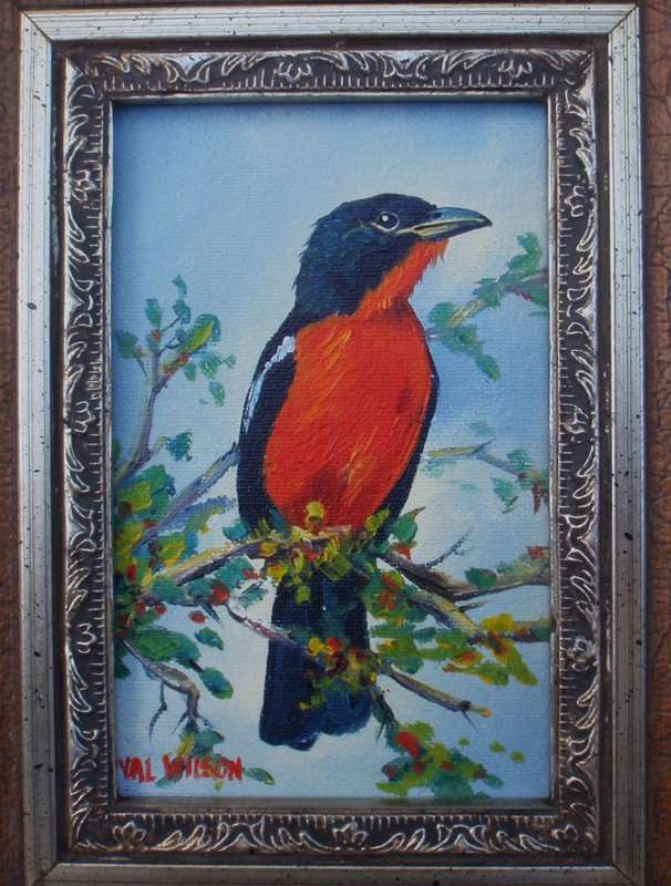 Exquisite Val Wilson (late) original bird painting in fabulous frame. Well known Durban artist.