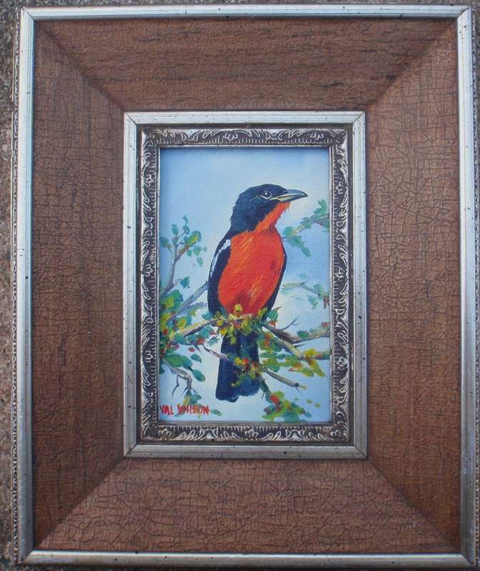 Exquisite Val Wilson (late) original bird painting in fabulous frame. Well known Durban artist.