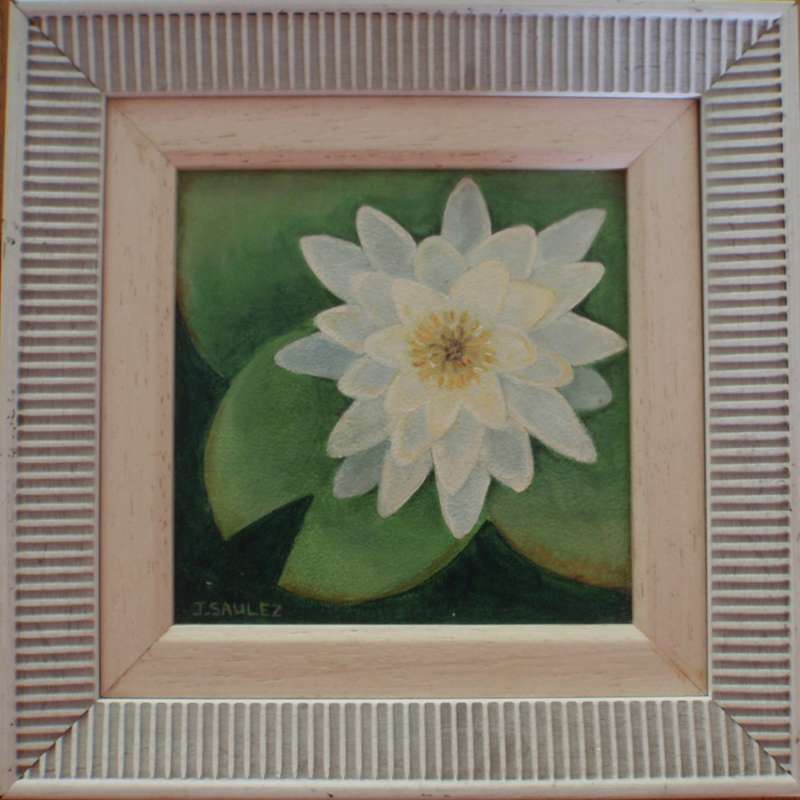 Original oil painting Nymphaea - beautiful waterlily pond scene. Well framed and ready to hang.