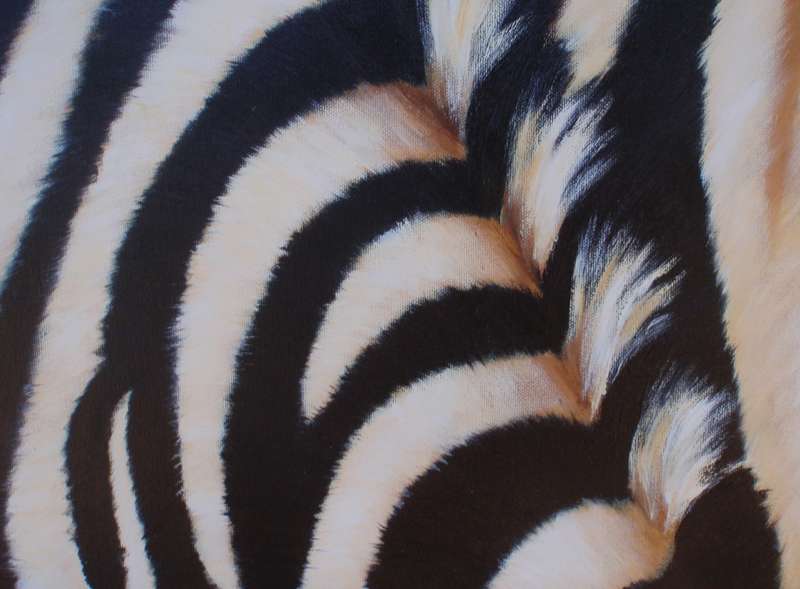 Fabulous Zebra abstract original by well known kzn artist Arlene McDade.