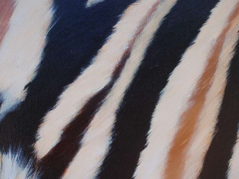 Fabulous Zebra abstract original by well known kzn artist Arlene McDade.