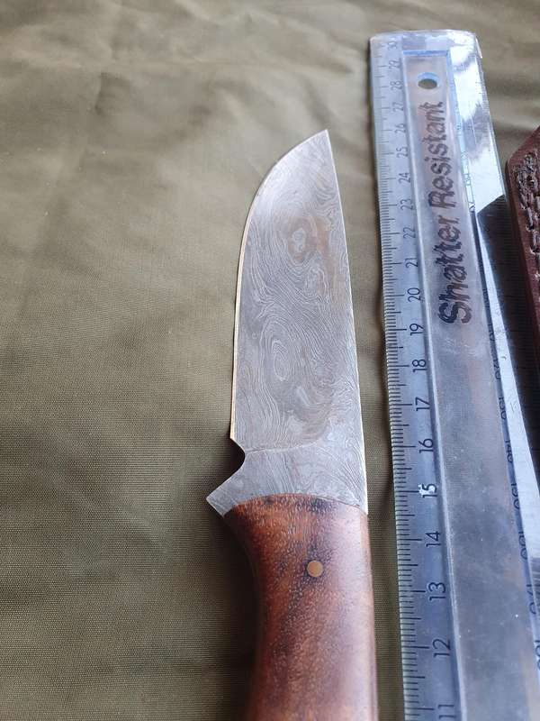 Ck Knives Damascus fixed blade