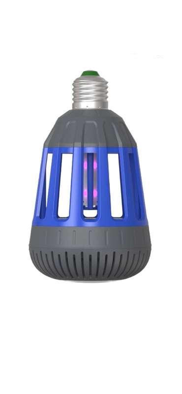 Insect lantern indoors