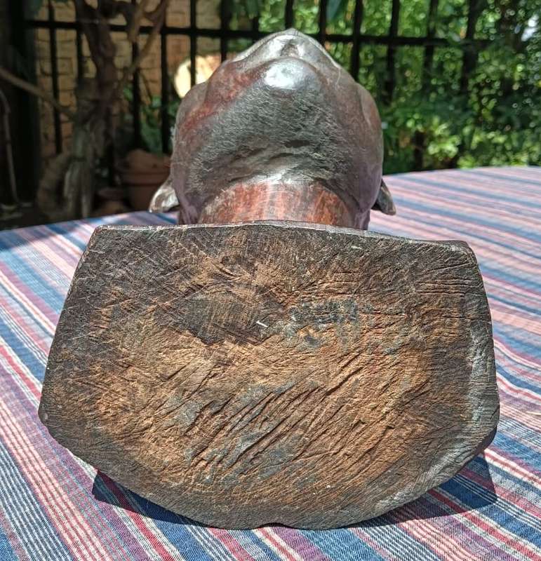 Signed African Shona Man Wooden Bust Large 36cm High It is Life Size and Very Life Like