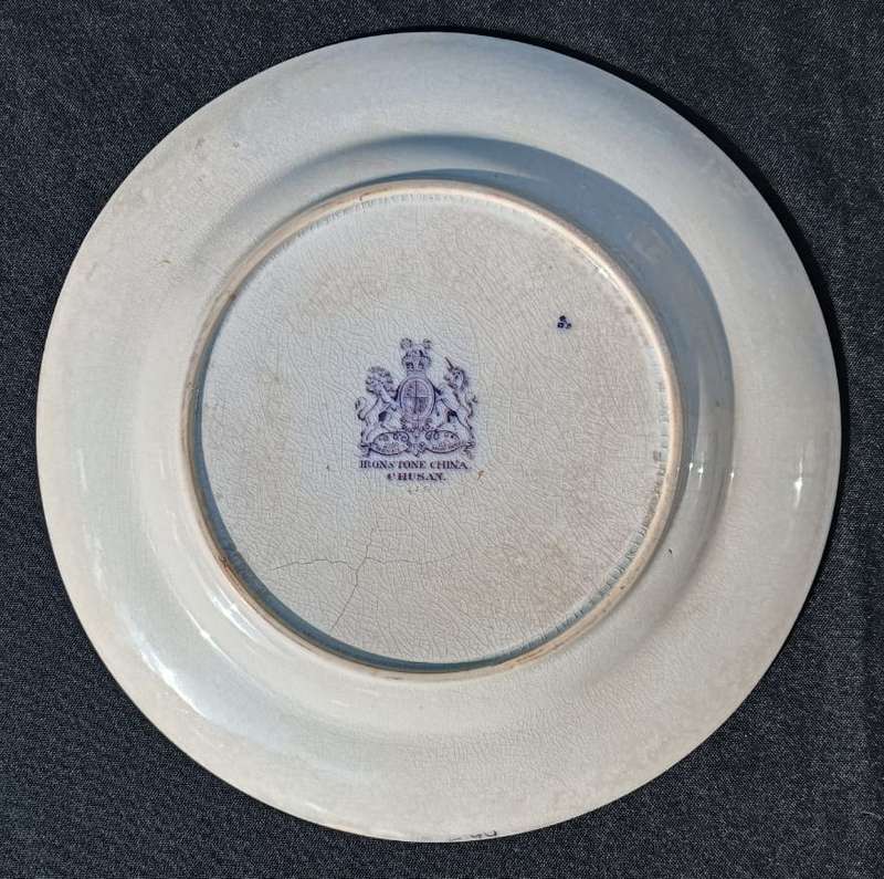 Antique (circa 1862-1880) Ashworth England Hand Painted Chusan Ironstone Plate - 145 Years Old!