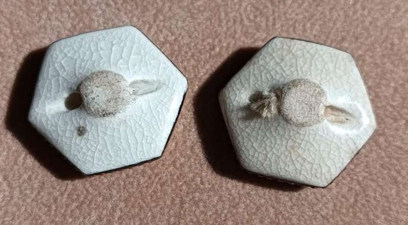 Antique Pair of Hexagonal Shaped Japanese Satsuma Porcelain Buttons