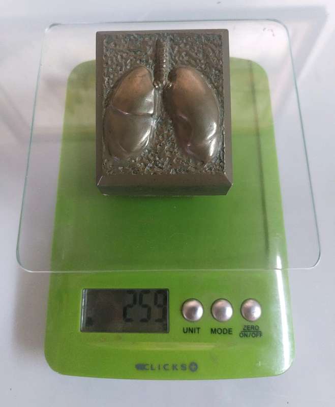 Five Medical Themed Paperweights: Lungs, Kidneys, Stomach, Femur, Hair