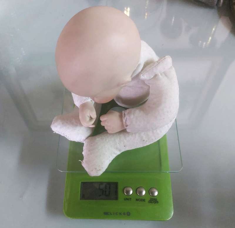 Cute Bisque Baby Doll marked Genine with Rag / Cloth Stuffed Frog Body