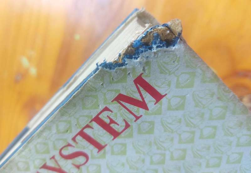 Chess Book Classic: My System A Chess Treatise by Aron Nimzovich 1964 First English Edition Hardcove
