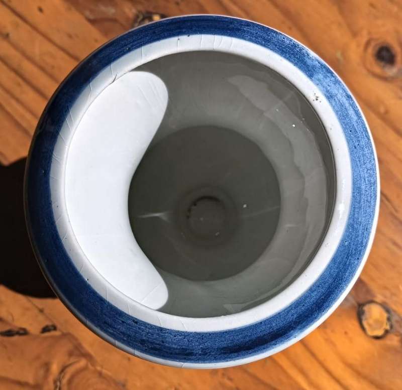 De Delftse Pauw (The Delft Peacock: 1954-2020) Two Handled Classical Greek Type Vase 15cm High