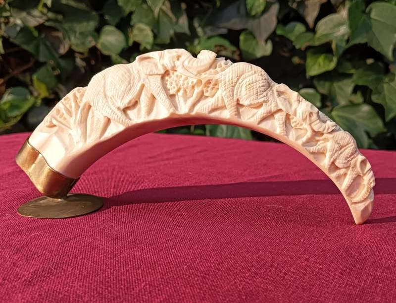 Beautifully Hand Carved Warthog Tusk With Brass Mount