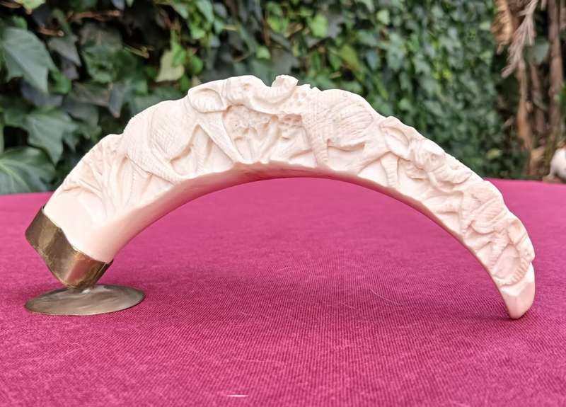 Beautifully Hand Carved Warthog Tusk With Brass Mount
