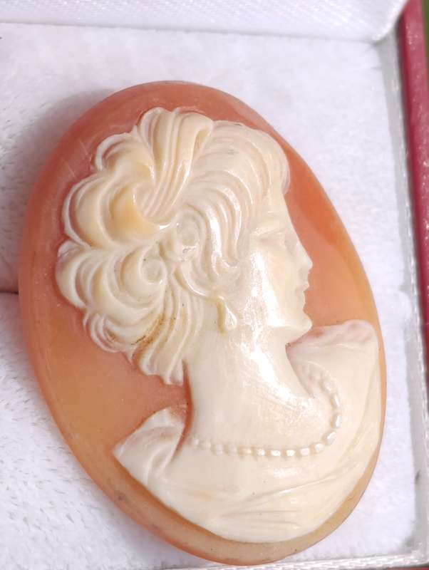 Genuine Shell Cameo