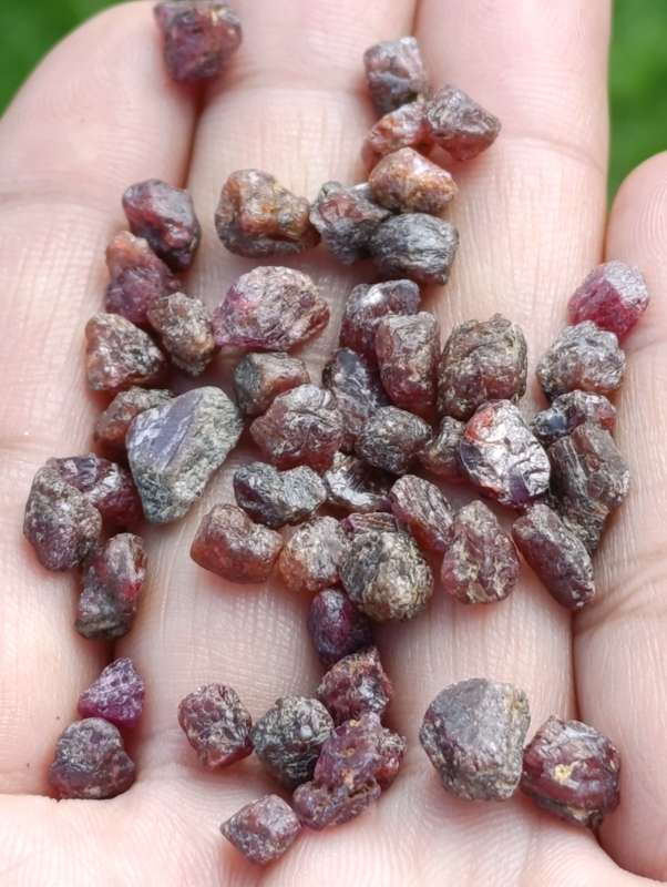 Lot of Raw Genuine Rubies