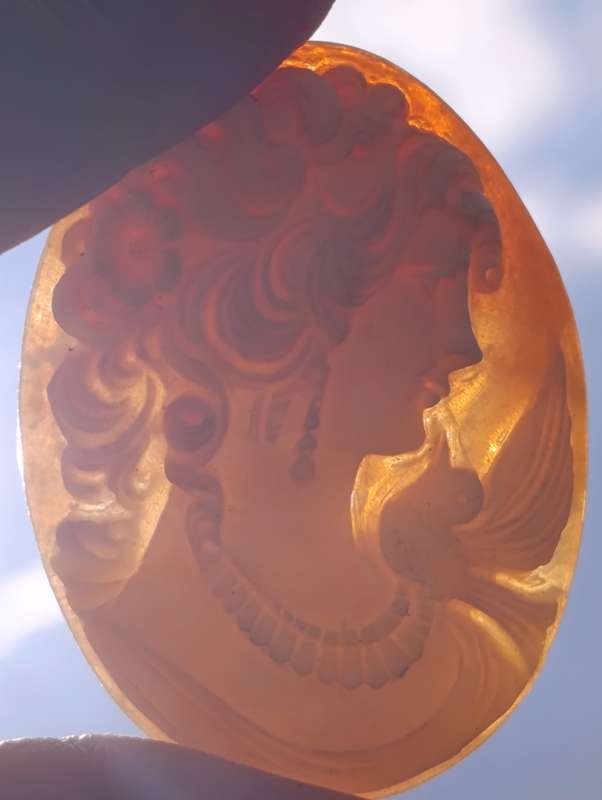 Genuine Large Shell Cameo