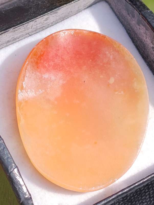 Genuine Large Shell Cameo