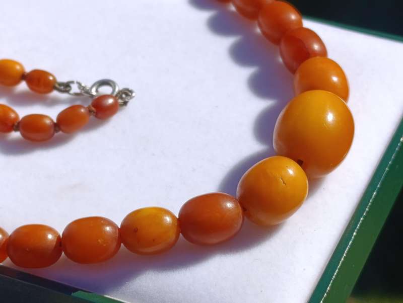 Natural Amber Necklace Egg Yolk Butterscotch