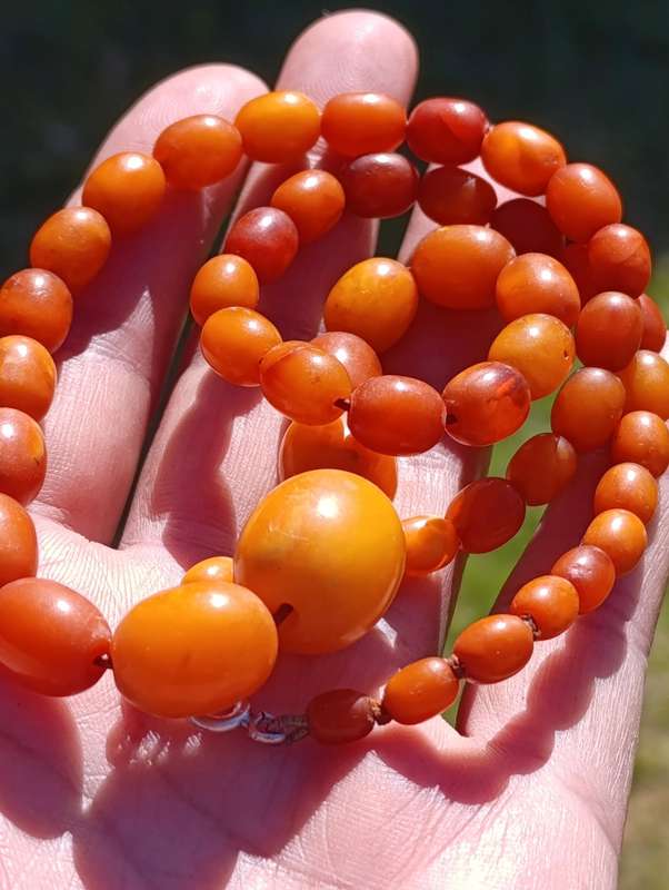 Natural Amber Necklace Egg Yolk Butterscotch