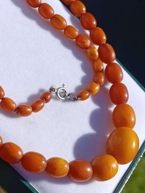 Natural Amber Necklace Egg Yolk Butterscotch