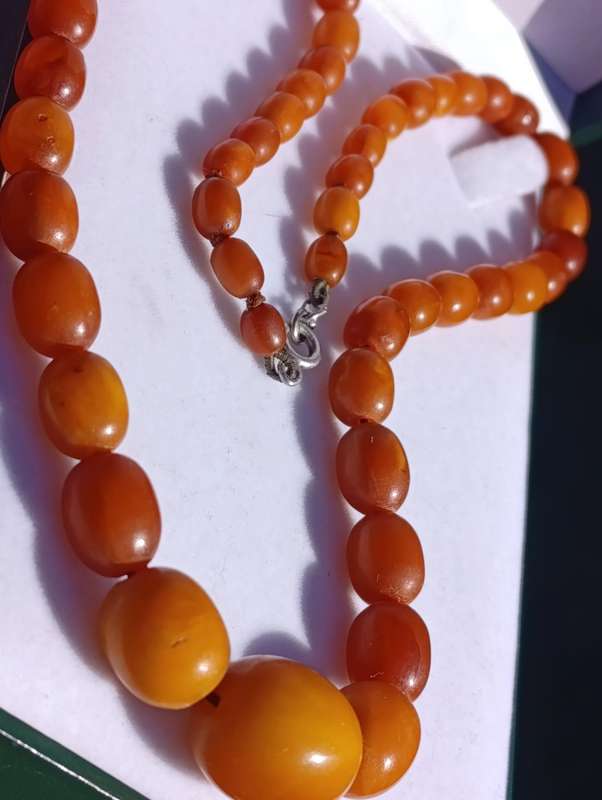 Natural Amber Necklace Egg Yolk Butterscotch