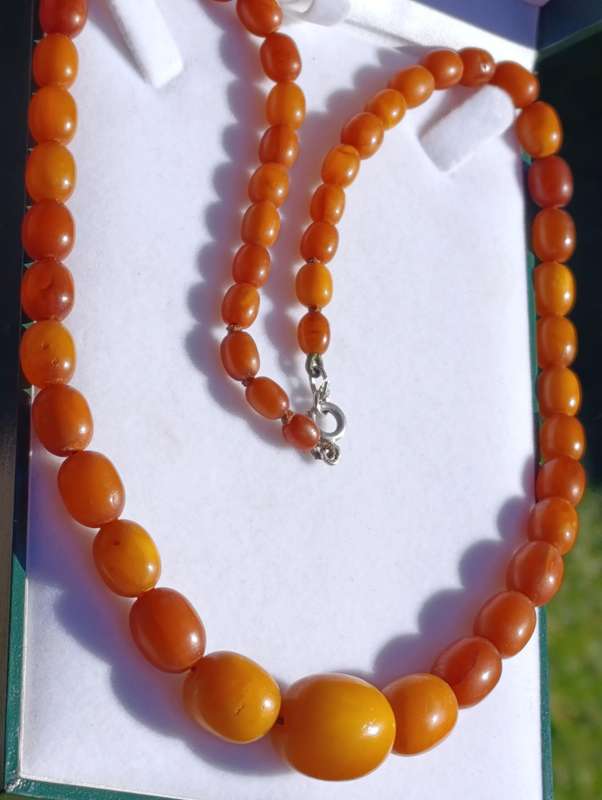 Natural Amber Necklace Egg Yolk Butterscotch