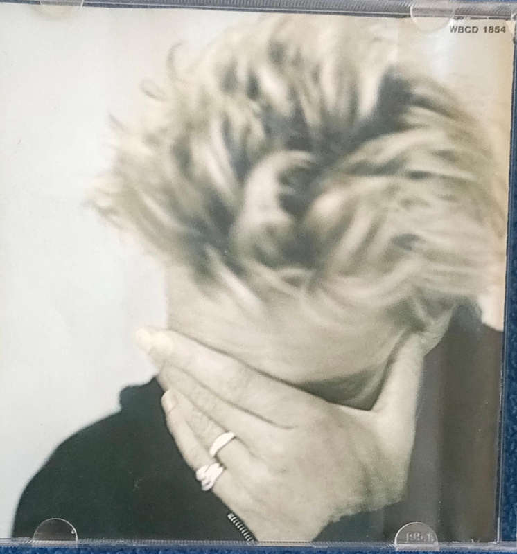 Rod Stewart - If We Fall In Love