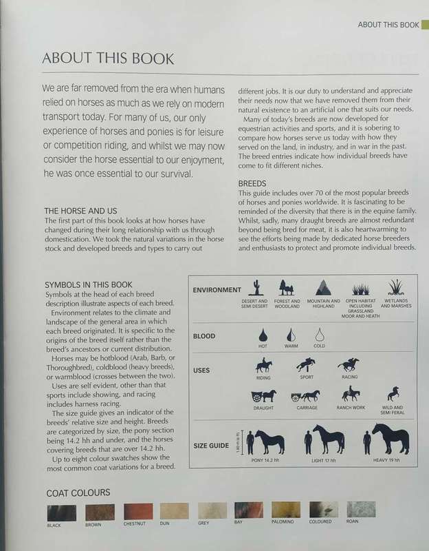 The Ultimate Guide to Horses