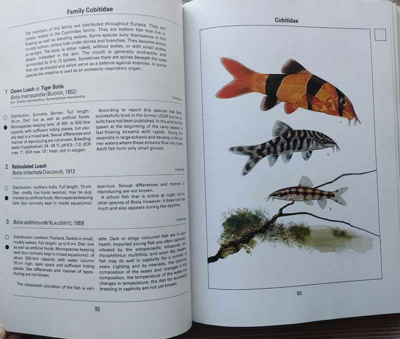 Aquarium Fish of the World